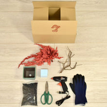 画像をギャラリービューアに読み込む, 1000万人のドライ盆栽®︎ スターター手づくりキット「赤」