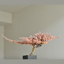 画像をギャラリービューアに読み込む, ドライ盆栽® 桜色 (桝形)枯れ盆栽