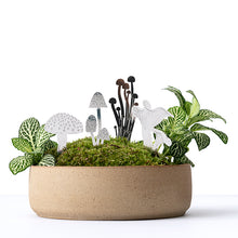 画像をギャラリービューアに読み込む, AS プランツピック