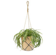 画像をギャラリービューアに読み込む, 【おしゃれなハンギングポット】LOCA バスケット20HG