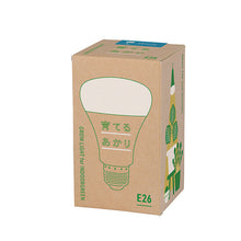 画像をギャラリービューアに読み込む, 【自然光に近い植物ライト】育てるあかり