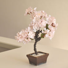 画像をギャラリービューアに読み込む, 桜のドライ盆栽® 「花見」盆栽鉢(茶)※桜の花はフェイクフラワーです