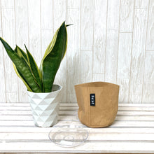 画像をギャラリービューアに読み込む, サンスベリア・ゴールデンフレーム 4.5号 鉢カバー「Re:af®」セット