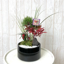 画像をギャラリービューアに読み込む, 【期間限定:12/24まで】お正月向け寄せ植え 松セキショウ寄せ