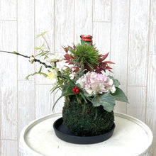 画像をギャラリービューアに読み込む, 【期間限定:12/24まで】正月用寄せ植え 苔玉 松竹 葉牡丹(ハボタン)かざり