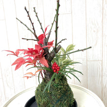 画像をギャラリービューアに読み込む, 【予約商品:12/22発送分】正月用寄せ植え 苔玉 梅・笹・南天