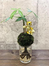 画像をギャラリービューアに読み込む, 【予約商品:9/30発送】ミニ観葉 モス CHIBI とら ガラス 1鉢