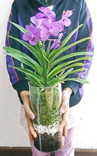 画像をギャラリービューアに読み込む, アスコセンダ・プリンセスミカサ ミカサブルー ガラス 1鉢