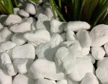 画像をギャラリービューアに読み込む, アンスリウム 赤色 浅鉢3株植え 11号 1鉢