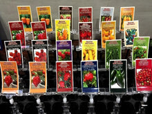 画像をギャラリービューアに読み込む, 世界の激辛 唐辛子苗 ※ケースでお届けします!