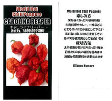 画像をギャラリービューアに読み込む, 世界の激辛 唐辛子苗 ※ケースでお届けします!