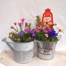 画像をギャラリービューアに読み込む, 【予約商品:4/22発送】寄せ植え ホリデーガーデン 2鉢セット