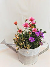 画像をギャラリービューアに読み込む, 【予約商品:4/22発送】寄せ植え ホリデーガーデン 2鉢セット