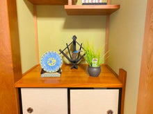 画像をギャラリービューアに読み込む, 【予約商品:6/3発送】黄金セキショウ 盆栽仕立て 3.5号 1鉢