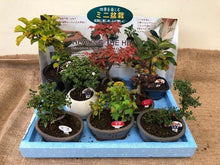画像をギャラリービューアに読み込む, 【予約商品:7/29発送】ミニ盆栽 5号 1鉢