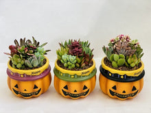 画像をギャラリービューアに読み込む, ハロウィン ビック 多肉寄せ植え 2鉢セット
