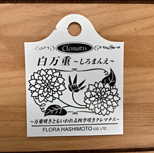 画像をギャラリービューアに読み込む, 【予約商品:3/31発送分】クレマチス・ 白万重(シロマンエ) 1鉢