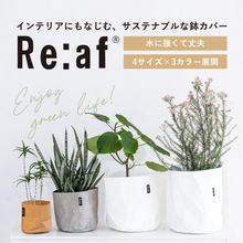 画像をギャラリービューアに読み込む, サステナブルな鉢カバー Re:af® (リーフ)