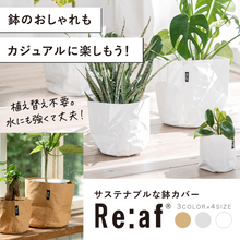 画像をギャラリービューアに読み込む, サステナブルな鉢カバー Re:af® (リーフ)