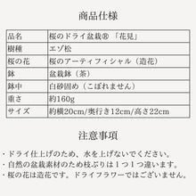 画像をギャラリービューアに読み込む, 桜のドライ盆栽® 「花見」盆栽鉢(茶)※桜の花はフェイクフラワーです