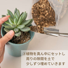画像をギャラリービューアに読み込む, ツチラボ -農家生まれのやさしいつち-【多肉植物用】 GreenSnapオリジナル培養土