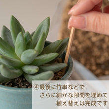 画像をギャラリービューアに読み込む, ツチラボ -農家生まれのやさしいつち-【多肉植物用】 GreenSnapオリジナル培養土