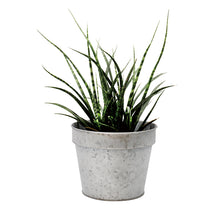 画像をギャラリービューアに読み込む, 【3個セット】ブリキプランター Sサイズ