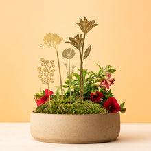 画像をギャラリービューアに読み込む, AS プランツピック