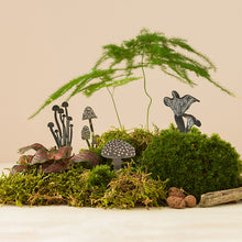 画像をギャラリービューアに読み込む, AS プランツピック