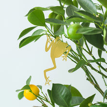 画像をギャラリービューアに読み込む, AS プラントアニマル