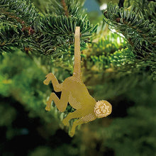 画像をギャラリービューアに読み込む, AS プラントアニマル