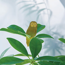 画像をギャラリービューアに読み込む, AS プラントアニマル