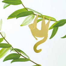 画像をギャラリービューアに読み込む, AS プラントアニマル