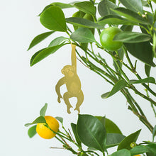 画像をギャラリービューアに読み込む, AS プラントアニマル