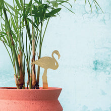 画像をギャラリービューアに読み込む, AS プラントアニマル