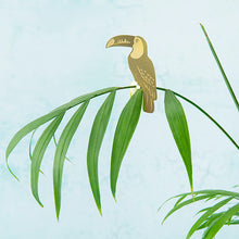 画像をギャラリービューアに読み込む, AS プラントアニマル