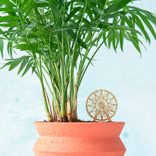 画像をギャラリービューアに読み込む, AS ミニモデル