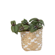 画像をギャラリービューアに読み込む, 【3個セット】鉢カバーとして使える LOCA バスケット12