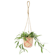 画像をギャラリービューアに読み込む, 【おしゃれなハンギングポット】LOCA バスケット12HG