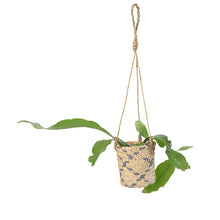 画像をギャラリービューアに読み込む, 【おしゃれなハンギングポット】LOCA バスケット12HG