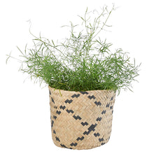 画像をギャラリービューアに読み込む, 【2個セット】鉢カバーとして使える LOCA バスケット14