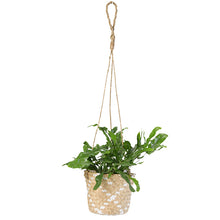 画像をギャラリービューアに読み込む, 【おしゃれなハンギングポット】LOCA バスケット14HG