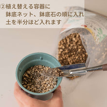 画像をギャラリービューアに読み込む, ツチラボ -農家生まれのやさしいつち-【多肉植物用】 GreenSnapオリジナル培養土