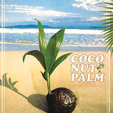 画像をギャラリービューアに読み込む, 【販売期間:7月31日まで】ココヤシ 7号 1鉢