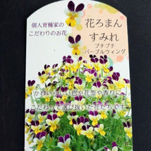 画像をギャラリービューアに読み込む, 【予約商品:11/9まで】ビオラ・プチプチ パープルWイエロー 花苗 3ポットセット