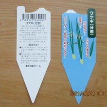 画像をギャラリービューアに読み込む, 【予約商品:10/29以降発送】ワケギ(分葱) 3ポットセット