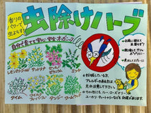 画像をギャラリービューアに読み込む, 【予約商品:4/22発送】虫除けハーブ苗 7種セット