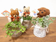 画像をギャラリービューアに読み込む, 【予約商品:11/26発送】トピアリー アニマルレンガ鉢 3.5号