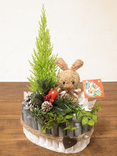 画像をギャラリービューアに読み込む, 【予約商品:11/26発送】トピアリー ログガーデンアレンジL 7号