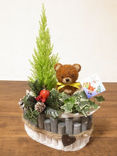 画像をギャラリービューアに読み込む, 【予約商品:11/26発送】トピアリー ログガーデンアレンジL 7号